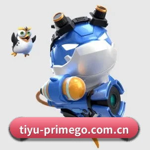 正式成立