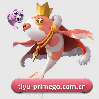 规模扩大