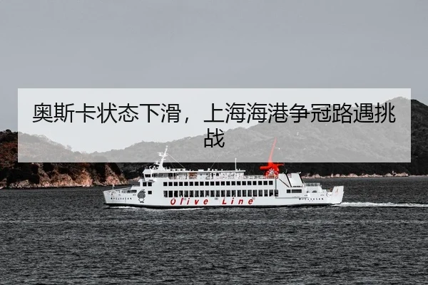 ao-si-ka-zhuang-tai-xia-hua-shang-hai-hai-gang-zheng-guan-lu-yu-tiao-zhan-3-249.jpg