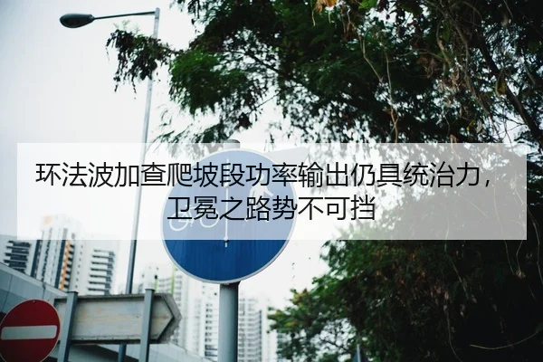 环法波加查爬坡段功率输出仍具统治力，卫冕之路势不可挡