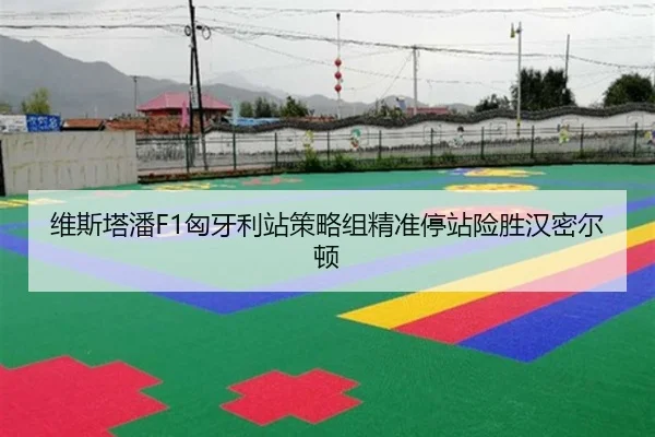 wei-si-ta-pan-xiong-ya-li-zhan-ce-lve-zu-jing-zhun-ting-zhan-xian-sheng-han-mi-er-dun-3-979.jpg