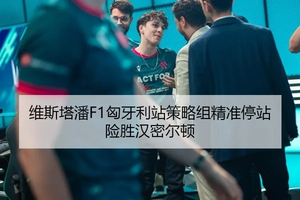 维斯塔潘F1匈牙利站策略组精准停站险胜汉密尔顿